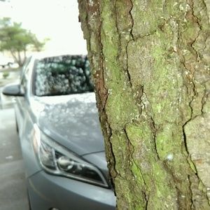 Meet your Posher, Memory